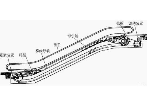 自动扶梯 